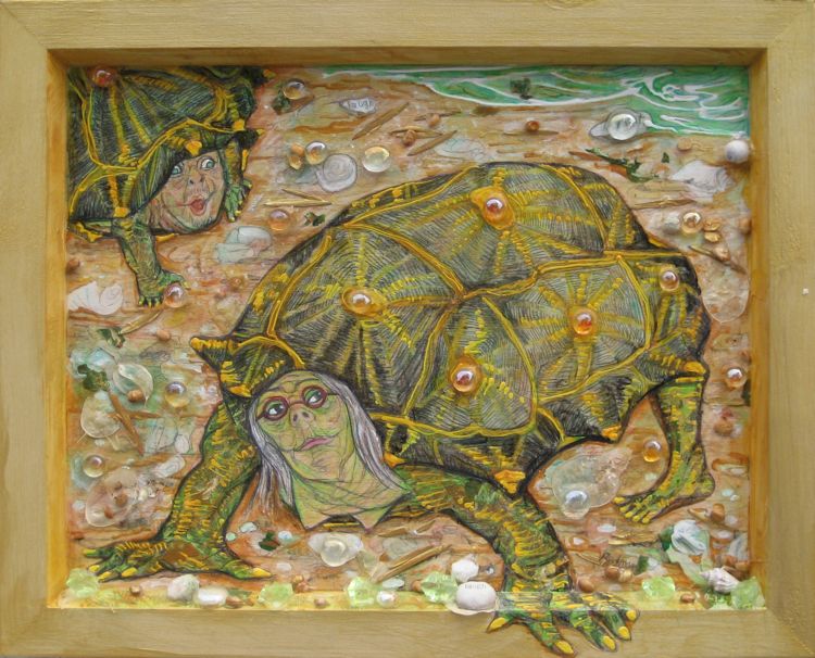 Turtle Hurdles - 2008